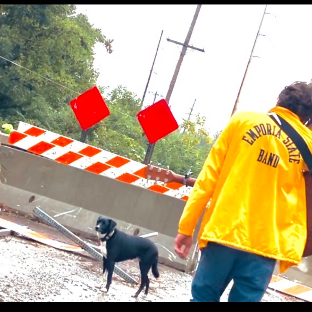 Emporia State Band Yellow Jacket VTG